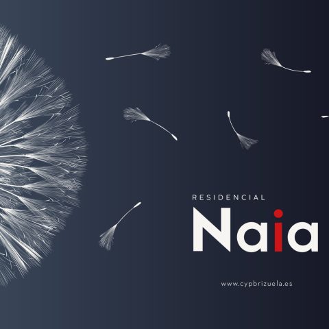 Residencial Naia, catálogo y web